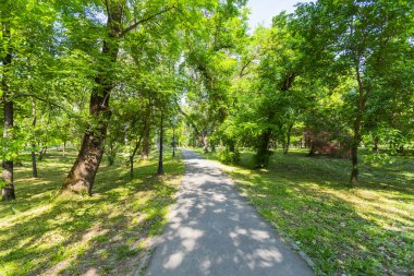 Huzurlu yürüyüş yolu, canlı yaz yeşillik parkında yavaşça kıvrılıyor. Olgun ağaçlarla çevrili, gölgeli gölgeler bırakıyor..