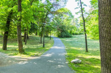 Huzurlu yürüyüş yolu, canlı yaz yeşillik parkında yavaşça kıvrılıyor. Olgun ağaçlarla çevrili, gölgeli gölgeler bırakıyor..