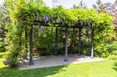 Bereketli Yeşil Vine Pergola Huzurlu Bahçe Parkı 'nda Bençlerle kaplı