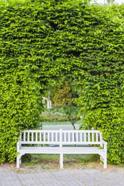 Bahçedeki Yeşil Çit Duvarı 'ndan Beyaz Park Benç Çerçevesi