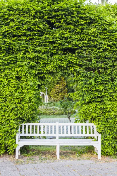 Bahçedeki Yeşil Çit Duvarı 'ndan Beyaz Park Benç Çerçevesi