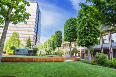 Parlak Mavi Gök Altında Çağdaş Mimari ve Ahşap Bankları Olan Modern Şehir Parkı