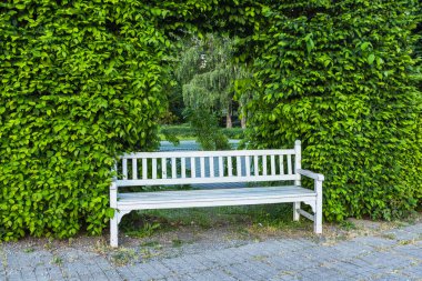 Doğal Kemer Yolu 'nun açıldığı Lush Green Hedge Wall' a karşı klasik Beyaz Ahşap Park Sahnesi Açık Hava Düşüncesi İçin Romantik Bahçe Ayarları