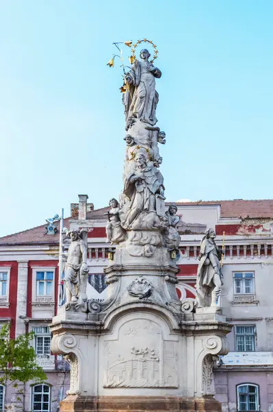 Romanya 'nın Timisoara kentindeki tarihi Özgürlük Meydanı' nda belirgin bir şekilde duran, birden fazla figür ve heykelle süslenmiş uzun ve süslü taş bir heykelin ayrıntılı manzarası.