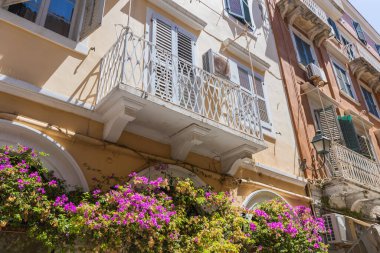 Korfu 'daki geleneksel bir binanın detaylı bir görüntüsü, beyaz dövülmüş demir bir balkona odaklanmış ve zemin kattaki kemerlerin üzerinde çağlayan pembe begonviller..