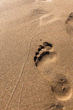 Ayrıntılı tek bir insan ayak izi ıslak altın plaj kumundan derinden etkilenmiş. Ayak parmağı ve topuk izleri, doğal ışıklandırma ve dokuya sahip..