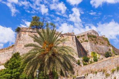 Korfu, Yunanistan 'da antik Venedik Yeni Kale duvarları, dramatik bulutlu gökyüzüne karşı tropikal palmiye ağacıyla yıpranmış taş mimariye sahip.