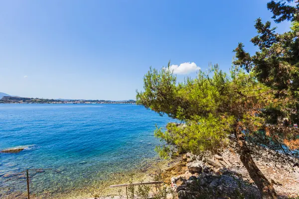 Kristal berrak sığ Akdeniz suları canlı turkuaz renkler, kıyı çam ağaçları ve mavi gökyüzünün altındaki kayalık kıyı şeridi..