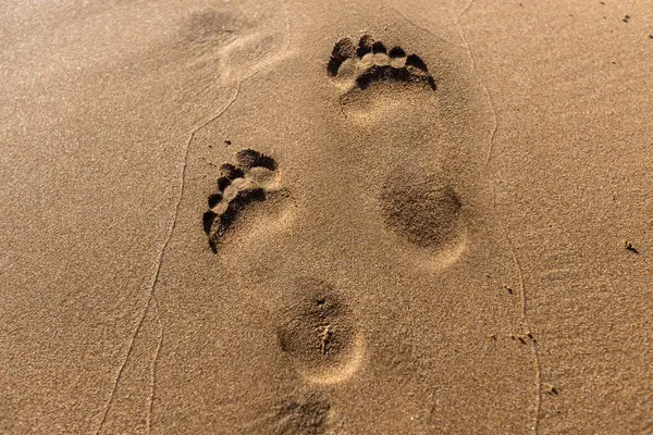 İnce altın plaj kumlarından etkilenen insan ayak izlerinin yakından görüntüsü doğal dokuyu, gölgeleri ve sıcak güneş ışığında ayak izlerini gösteriyor..