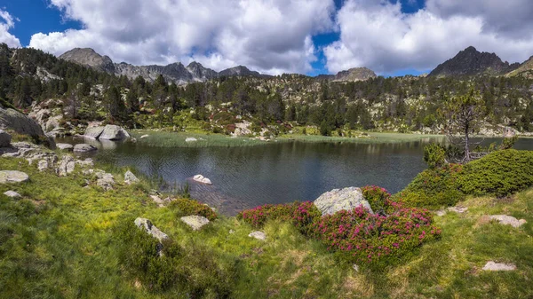 Panoramatický Pohled Pessons Lakes Andorra — Stock fotografie