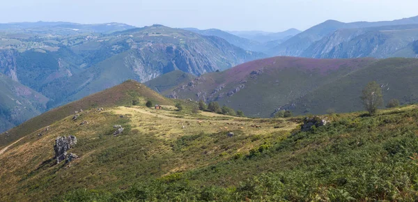 Bergslandskap Asturien Spanien — Stockfoto
