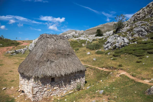 Teito Antik Stuga Vid Saliencia Sjöarna Somiedo Asturien — Stockfoto
