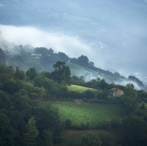 Misty Foggy Morning Asturias — Stok fotoğraf