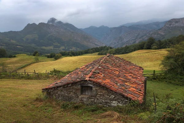 Picos Deveuropa Astrias スペインの美しい田園風景 — ストック写真