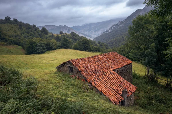 Beautiful Countryside Cottage Picos Europa Asturias Spain — ストック写真