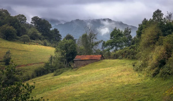 Asturias Spanyol Dağlık Arazilerinde Kayan Tepeler Yemyeşil Ormanlar Kırmızı Bir — Stok fotoğraf