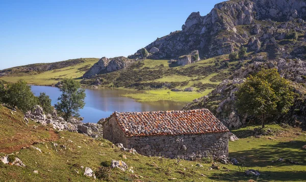 西班牙阿斯图里亚斯科瓦登加国家公园的迷人风景 环绕着雄伟的山脉和茂密的绿叶的埃西纳湖上晴朗的天空 — 图库照片
