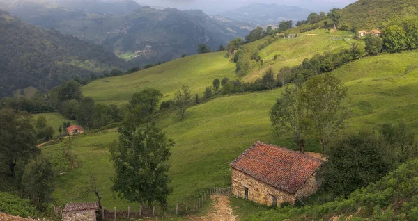 Bellissimo Paesaggio Campagna Nelle Asturie Spagna — Foto Stock