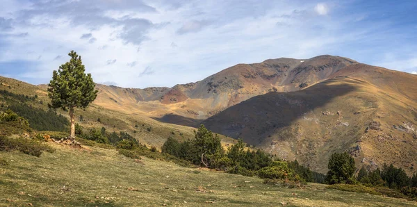 High Mountain Landscape Collet Les Barraques Catalan Pyrenees — стокове фото