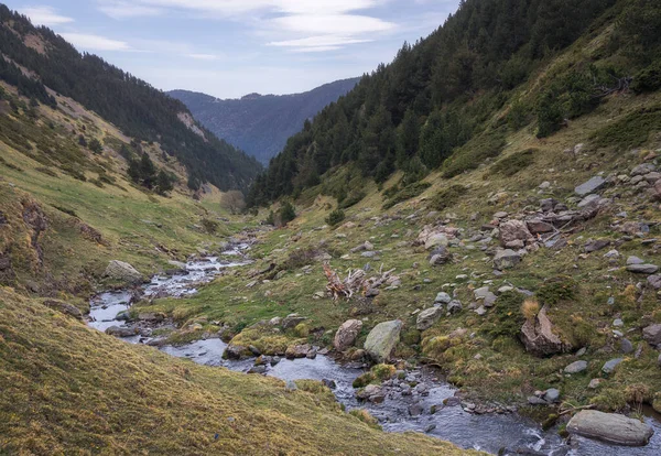Cestující Pyrenejí Klidný Horský Hřeben Vodní Potok Uprostřed Divočiny — Stock fotografie