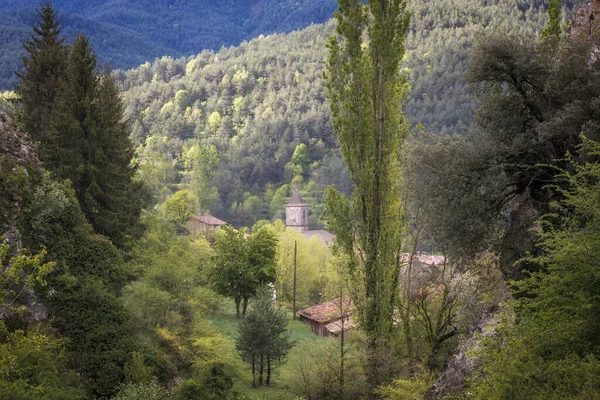 Гомбренская Церковь Колокольней Окружении Красоты Зелени Природы Каталония — стоковое фото