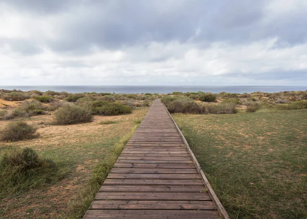 Sentiero Legno Spiaggia Nel Parco Regionale Calblanque Murcia Spagna — Foto Stock