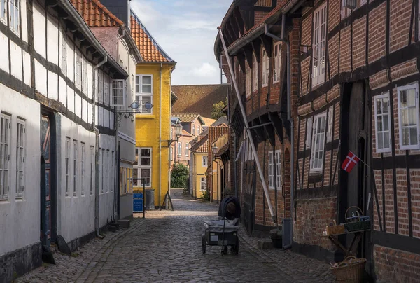 Narrow Old Street Historic Dity Ribe Danmark — Stockfoto