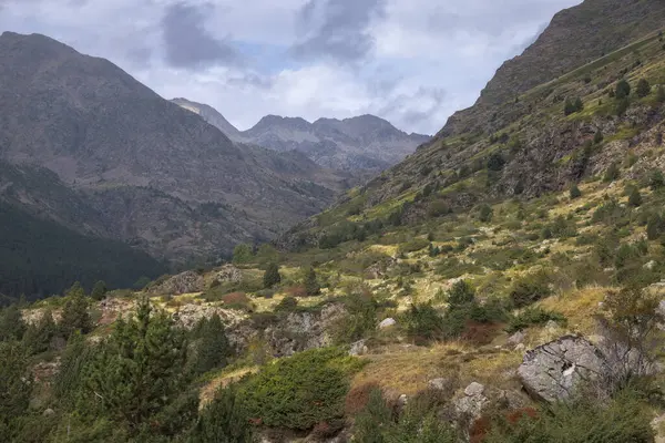 Vale Vall Fosca Nos Pirinéus Catalães Com Árvores Montanhas Fundo Fotografias De Stock Royalty-Free