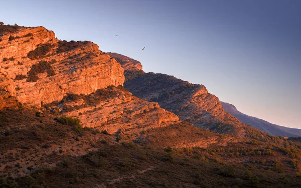 Montagne Badlands Pallars Jussa Catalogne Avec Des Vautours Volant Dans Images De Stock Libres De Droits