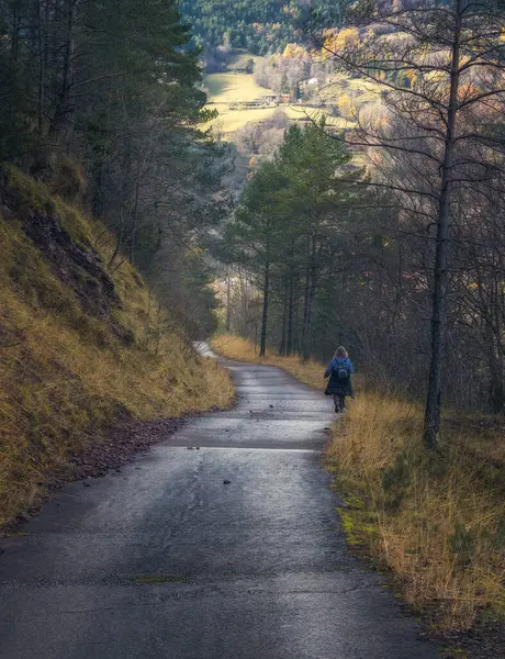オガサ エルリポレス カタルーニャの森林の道を歩いている女性 ストック写真