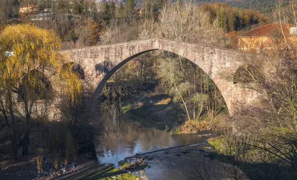 加泰罗尼亚El Ripolles Sant Joan Les Abadesses桥 免版税图库图片