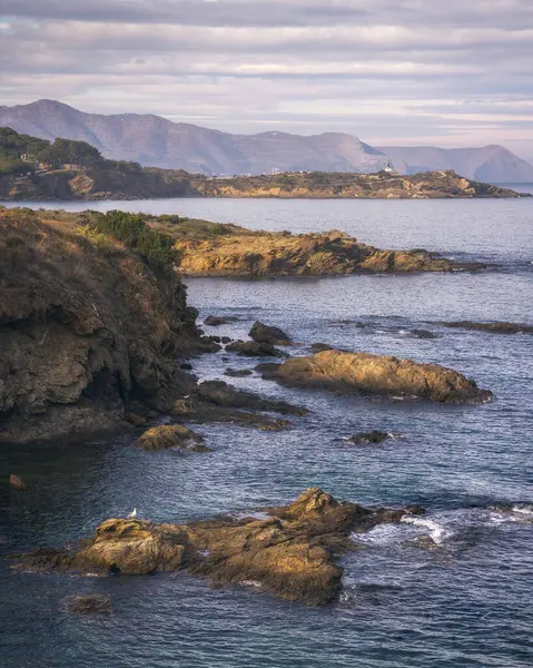 Schöne Küstenlandschaft Der Costa Brava Der Abenddämmerung Llanca Katalonien Stockbild