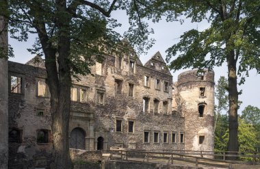 Explore the enchanting ruins of Swiny Castle in Poland, a natural historical gem. clipart