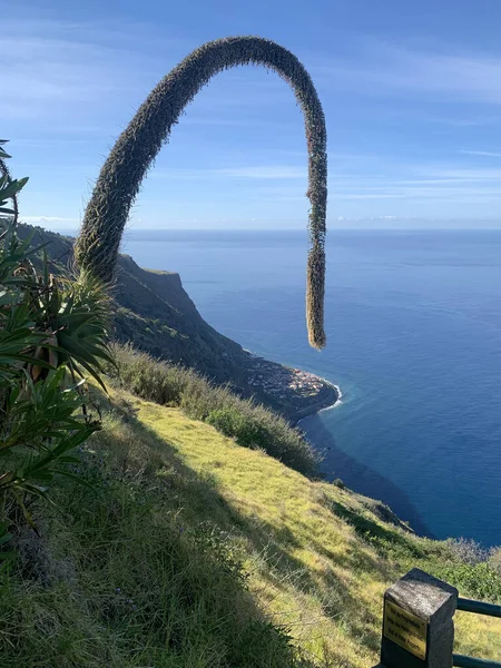 Landskap Med Madeiras Panoramakust Portugal Stockbild