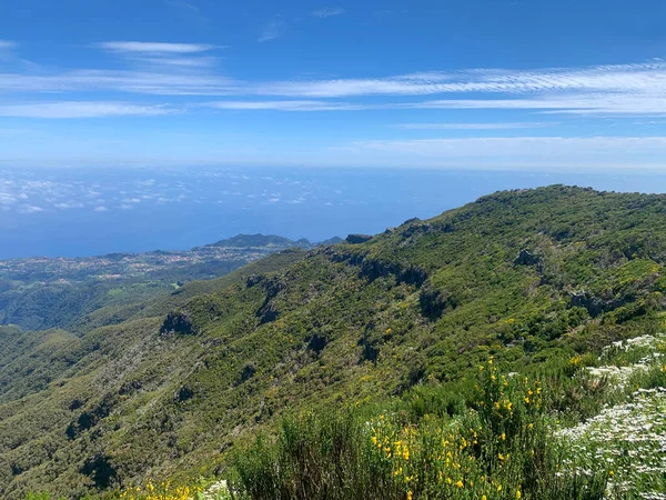 Landskap Med Madeiras Panoramakust Portugal Royaltyfria Stockfoton