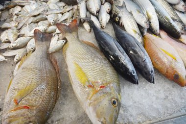 Pazarda taze balık