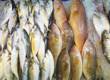 Pazarda taze balık
