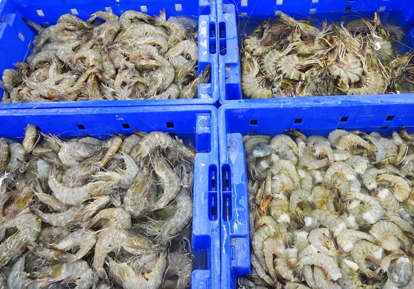 青い箱の中の新鮮なエビ 魚市場 — ストック写真