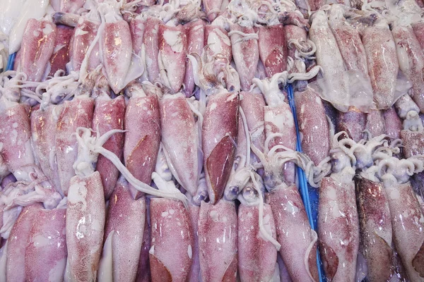 Calamari Freschi Mercato — Foto Stock