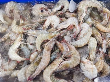 Üstten görünüm taze karides