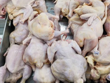 Satılık bütün çiğ tavuklar.