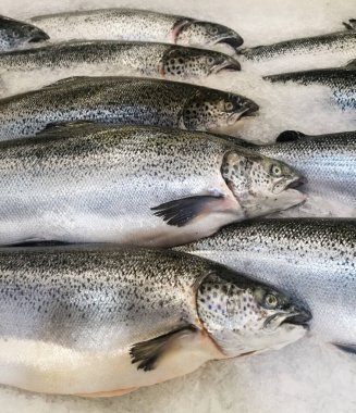 Süpermarkette buzda taze somon