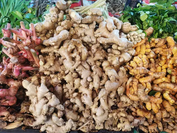 Piles Galangal Ginger Market Stock Picture