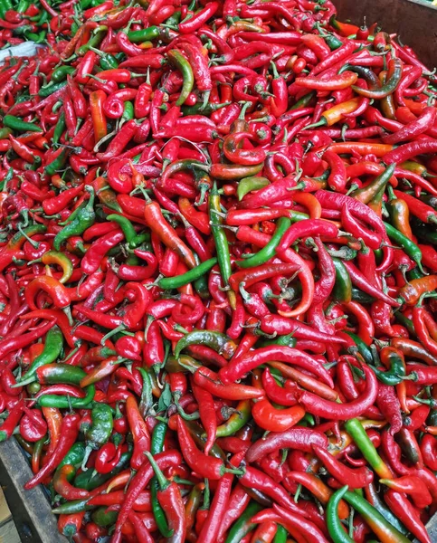 Green Red Hot Chilli Peppers Royalty Free Stock Images