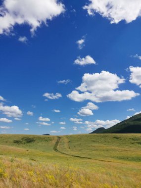 Mavi gökyüzü ve yeşil çimlerle yaz manzarası