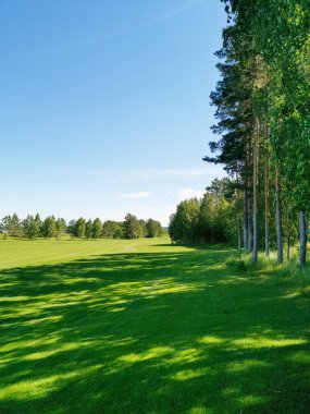 Yeşil çimenler ve mavi gökyüzü bir yaz parkında