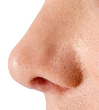 Burun beyaz arkaplanda izole edildi