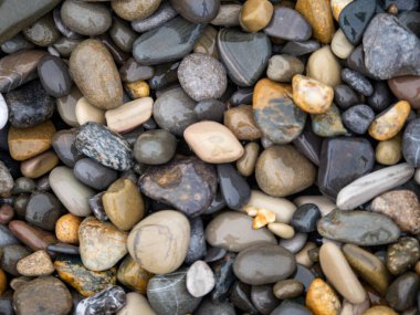 Deniz taşları. Yumuşak çakıl arkaplanı