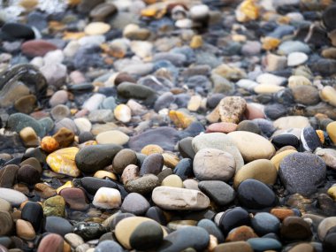 Deniz taşları. Yumuşak çakıl arkaplanı
