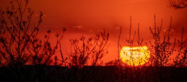 Gökyüzünde büyük bir turuncu güneş batıyor, ağaçların üzerine sıcak bir parıltı saçıyor. Gökyüzü bulutlarla dolu. Huzurlu ve huzurlu bir atmosfer yaratıyor.